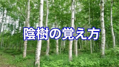 陽樹 陰樹 一覧|陰樹・陽樹の違いを理解して庭作りを成功させよう